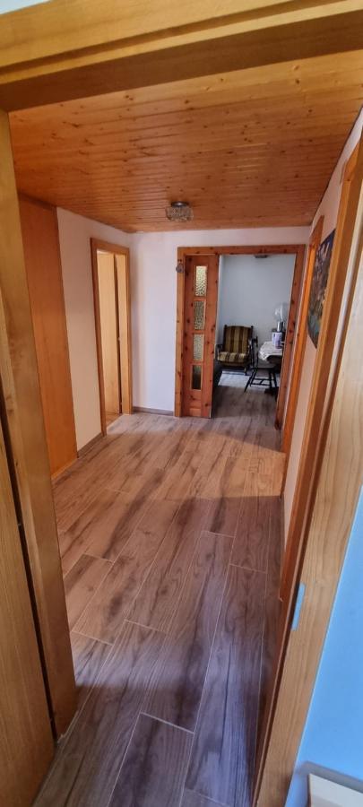 Le Panorama - Appartement 54 A Arolla Face Aux Montagnes A 150M Des Pistes Evolene Luaran gambar