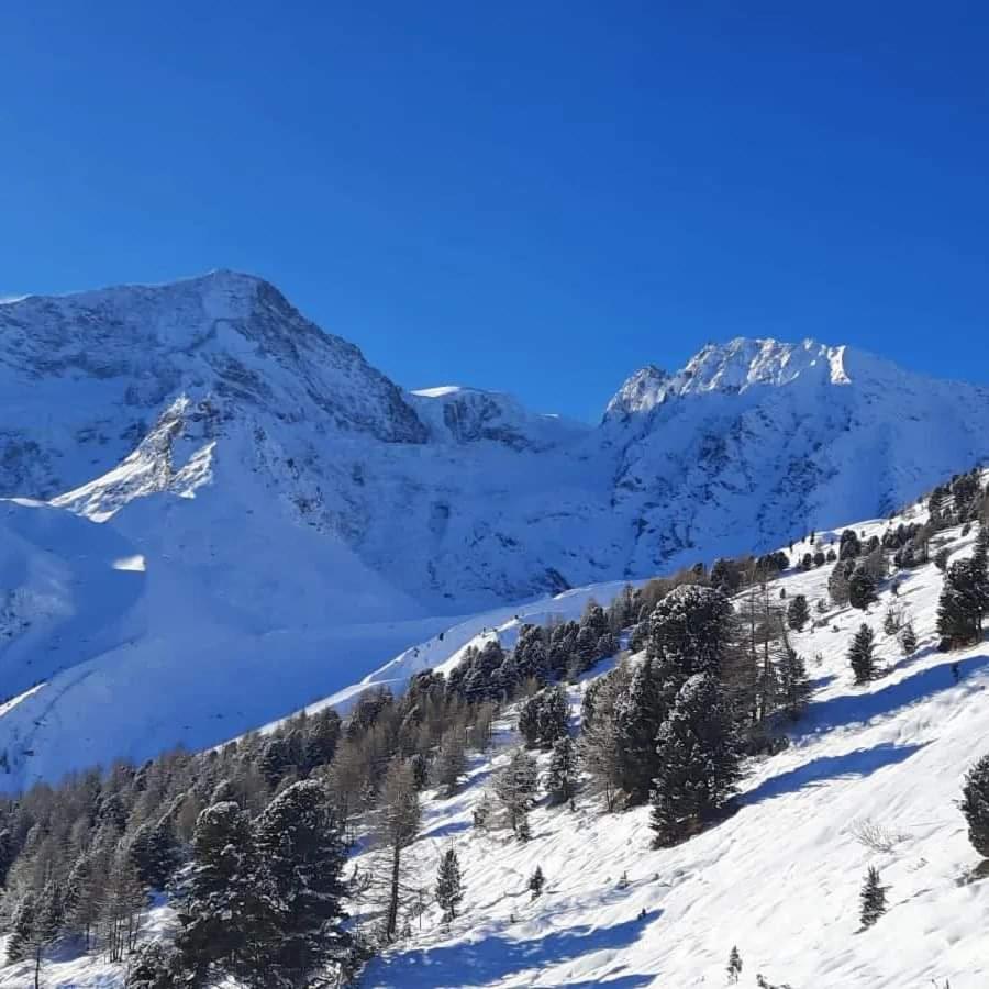 Le Panorama - Appartement 54 A Arolla Face Aux Montagnes A 150M Des Pistes Evolene Luaran gambar